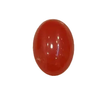 2.82 Carat Natural Coral