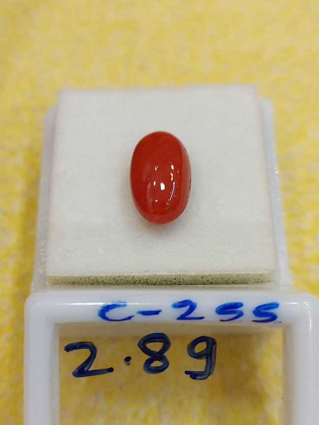 C-255 Carat Natural Coral