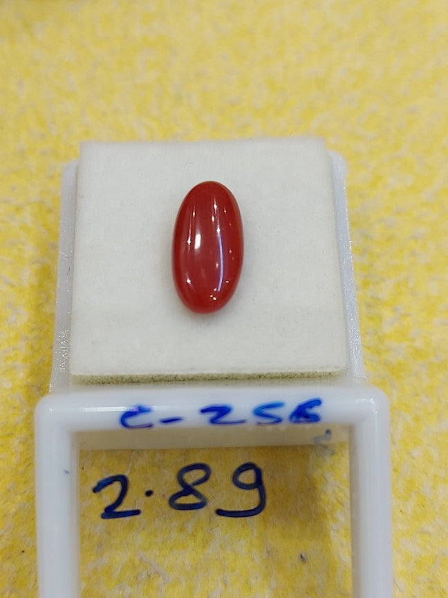 C-256 Carat Natural Coral