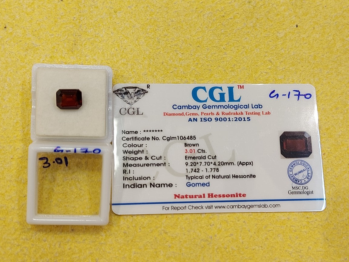 3.01 Carat Natural Garnet