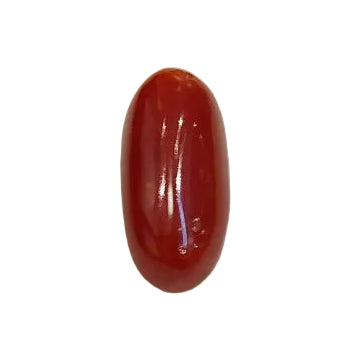 3.19 Carat Natural Coral