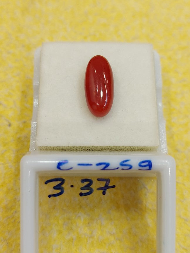 C-259 Carat Natural Coral