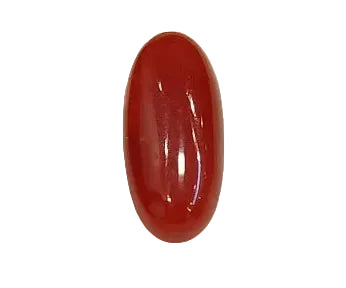3.37 Carat Natural Italian Coral