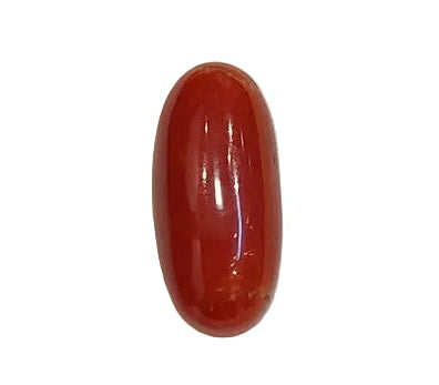 3.54 Carat Natural Coral