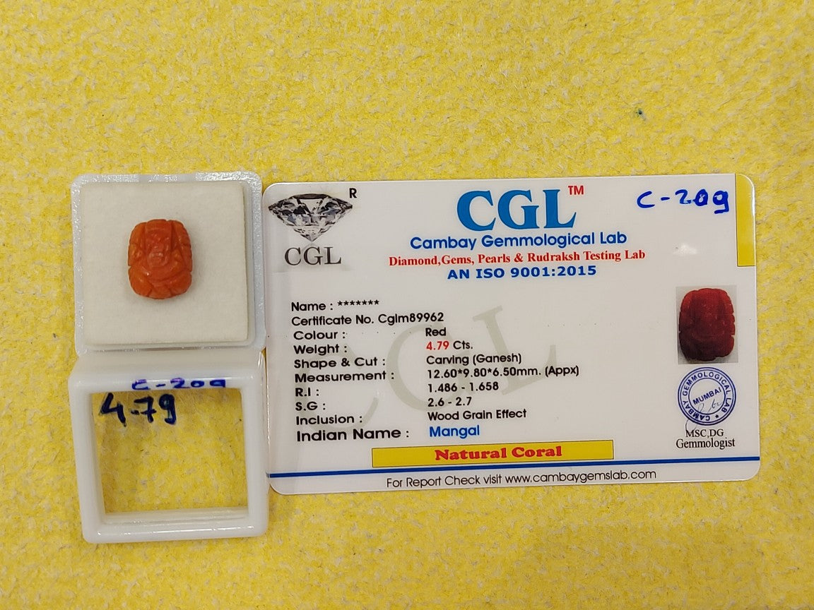 4.79 Carat Natural Coral