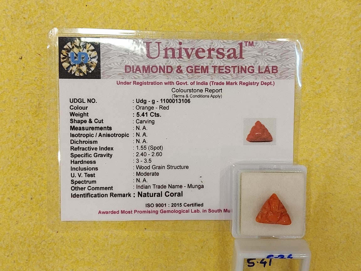 5.41 Carat Natural Coral