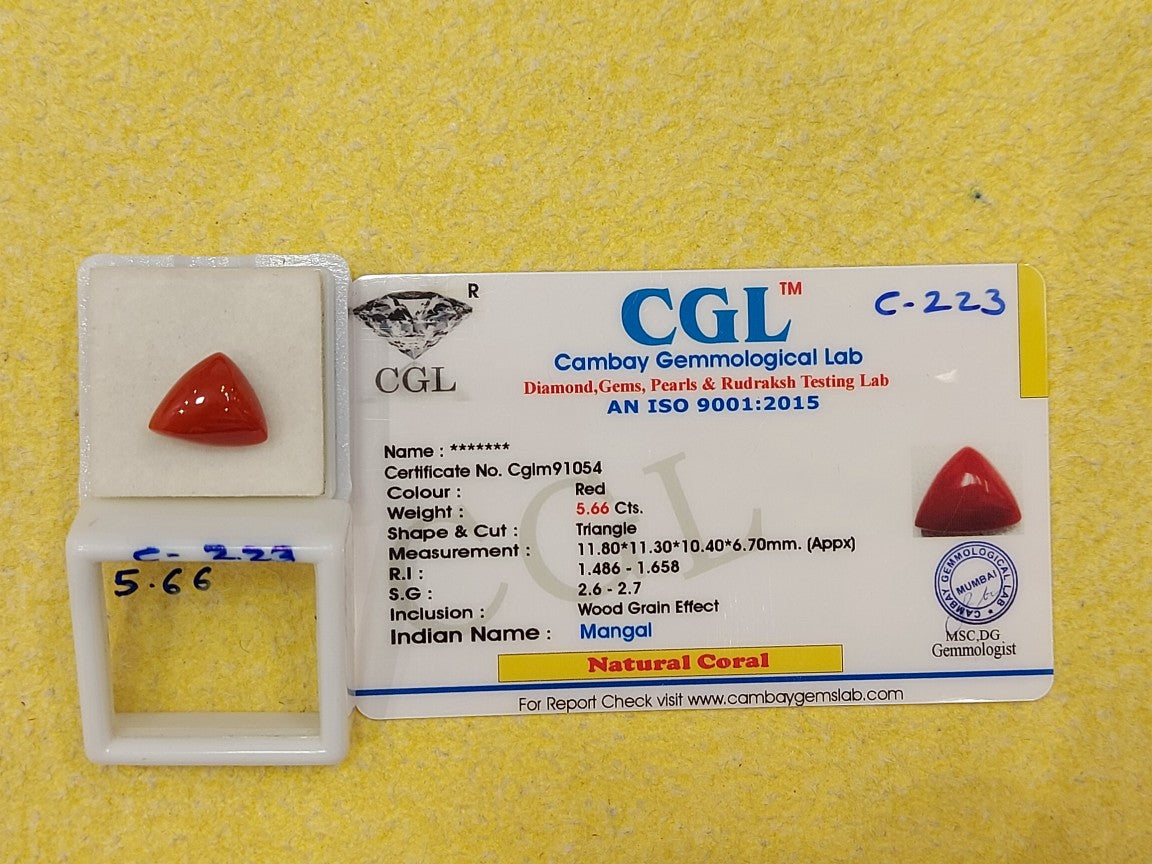 5.66 Carat Natural Coral
