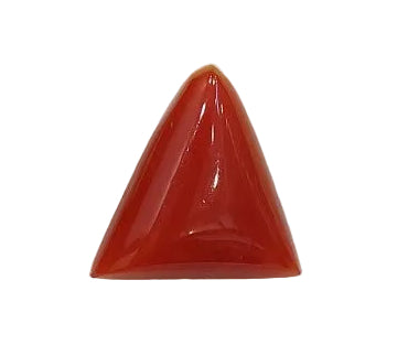 5.66 Carat Natural Coral