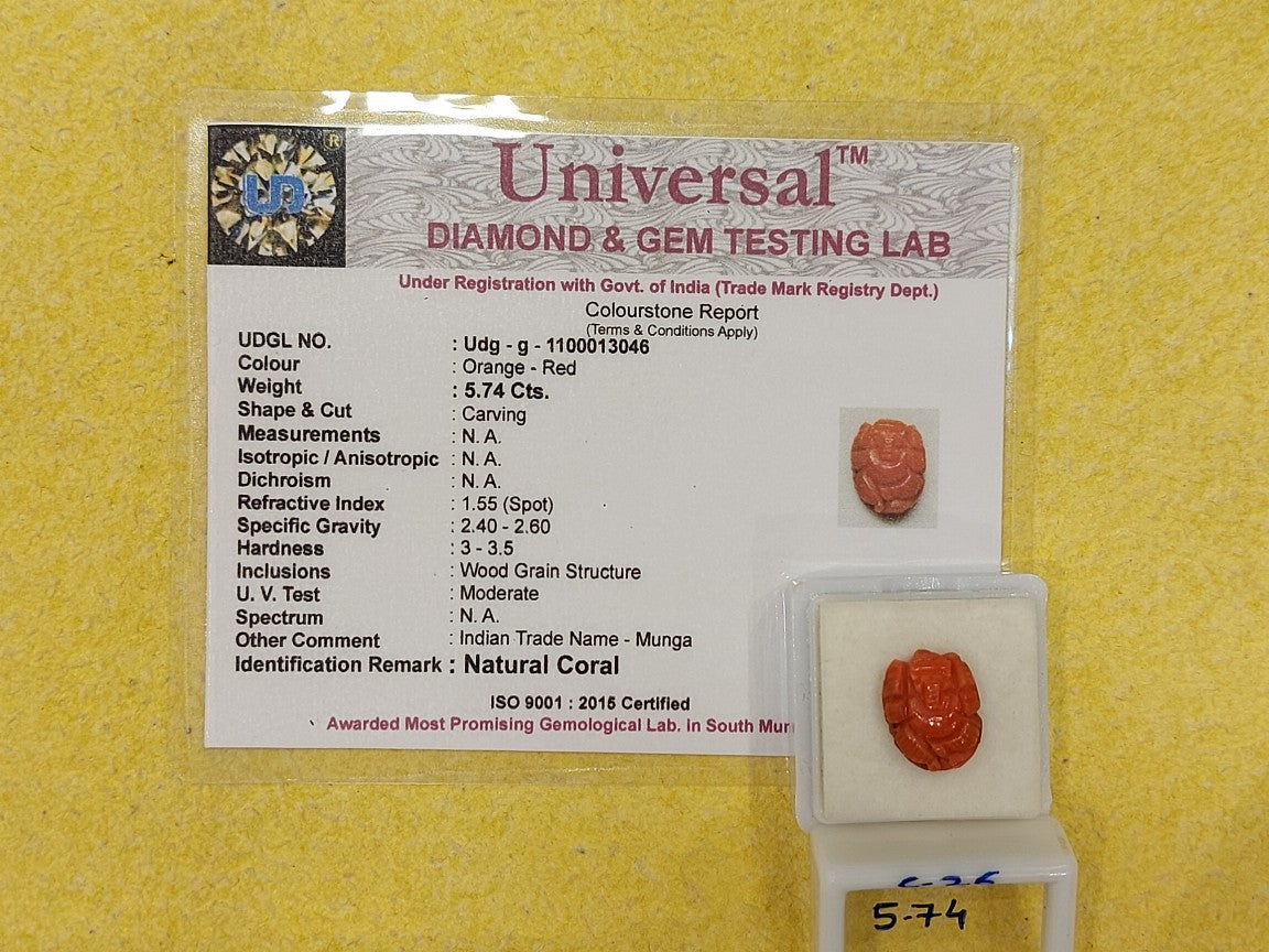 5.74 Carat Natural Coral