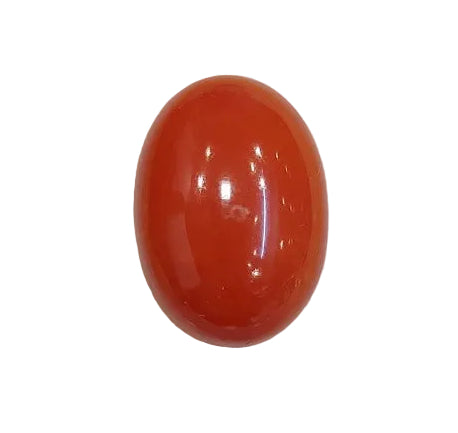 8.96 Carat Natural Coral