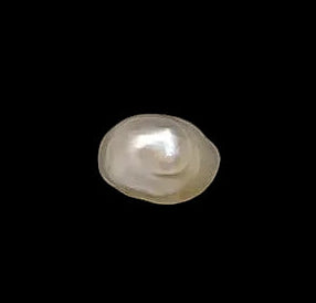 1.19 Carat Natural Basra Pearl