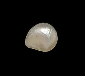 1.25 Carat Natural Basra Pearl