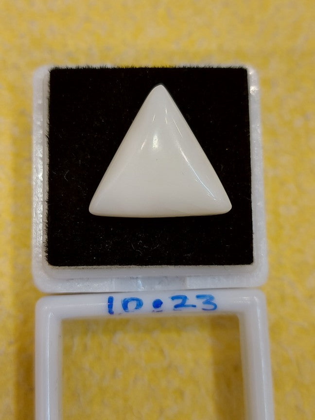 10.23 Carat Natural Coral