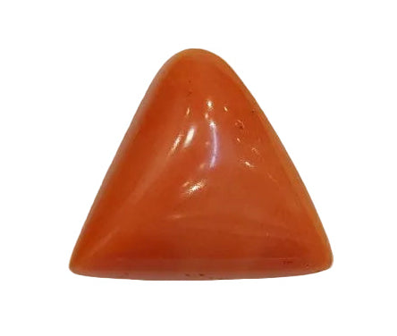10.43 Carat Natural Coral