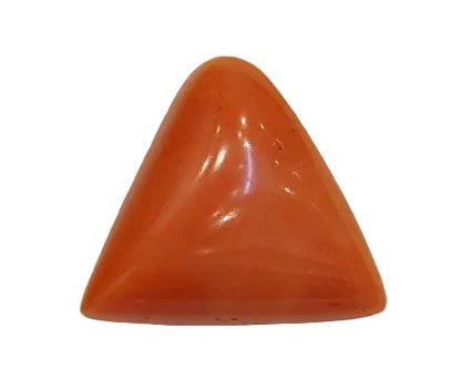 10.43 Carat Natural Coral