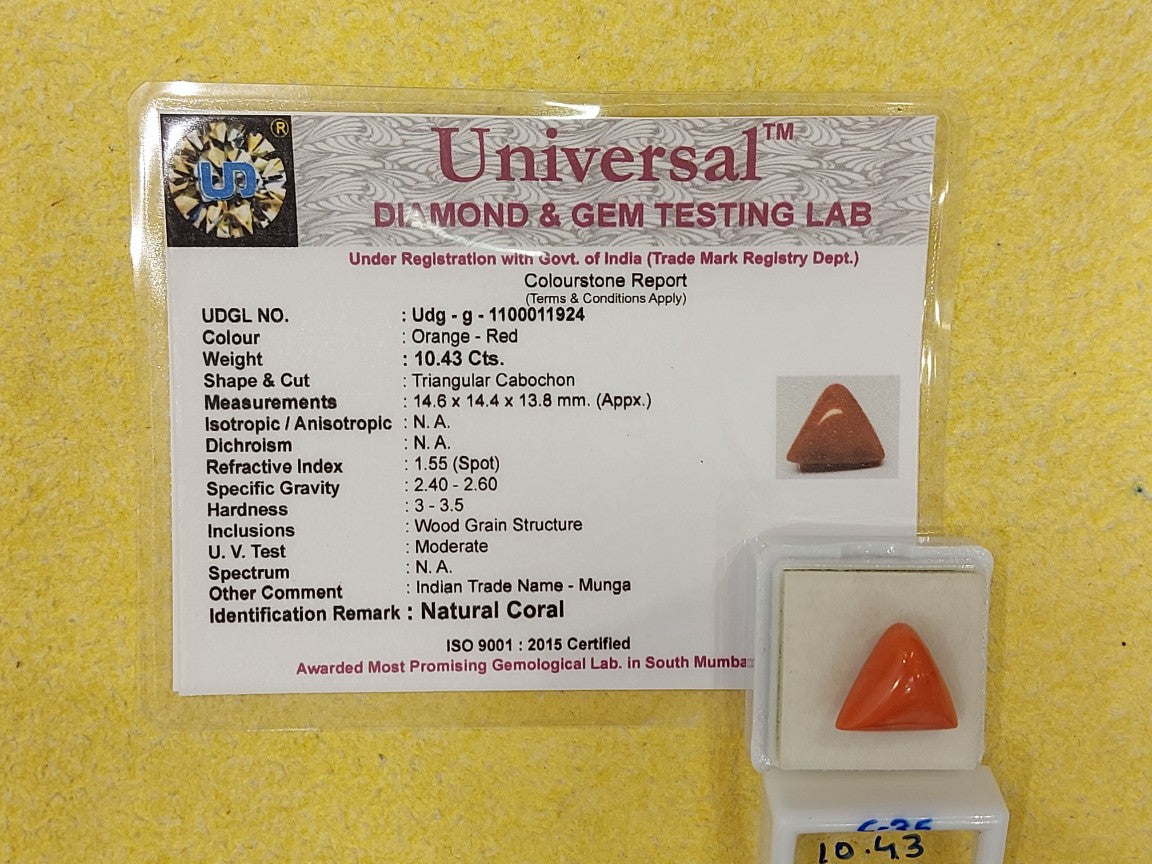 10.43 Carat Natural Coral
