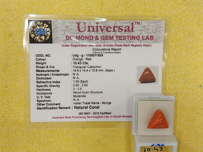 10.43 Carat Natural Coral