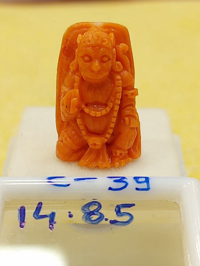 14.85 Carat Natural Coral