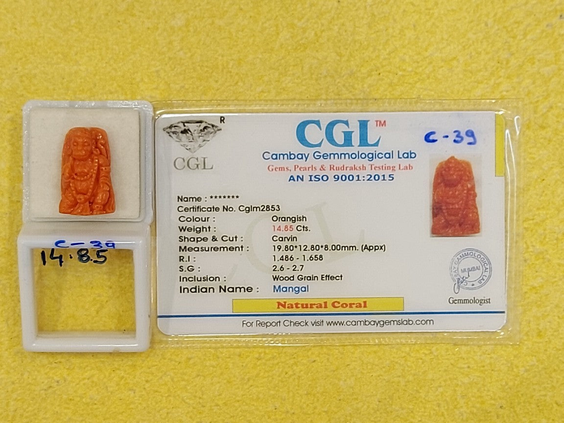 14.85 Carat Natural Coral