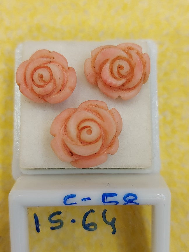 15.64  Carat Natural Coral