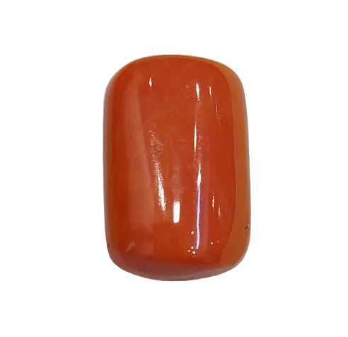 17.70 Carat Natural Coral