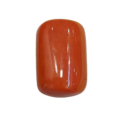 17.70 Carat Natural Coral
