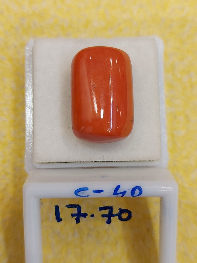 17.70 Carat Natural Coral