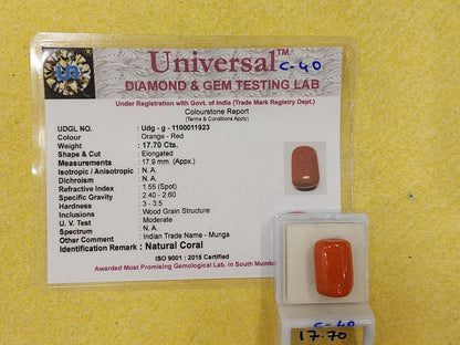 17.70 Carat Natural Coral