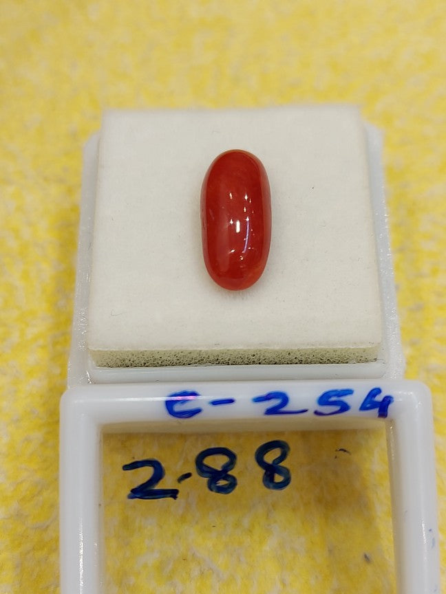 C-254 Carat Natural Coral