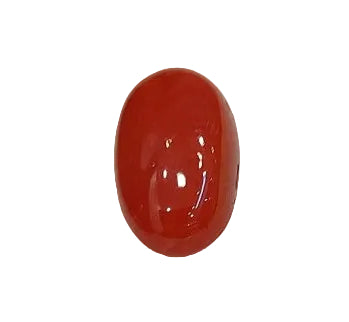 2.89 Carat Natural Coral