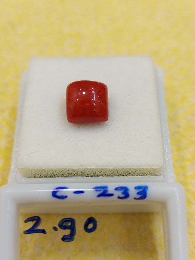 C-233 Carat Natural Coral