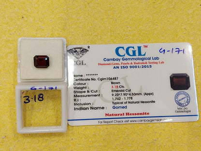 3.18 Carat Natural Garnet