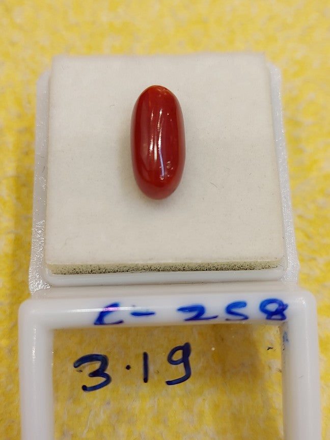 C-258 Carat Natural Coral