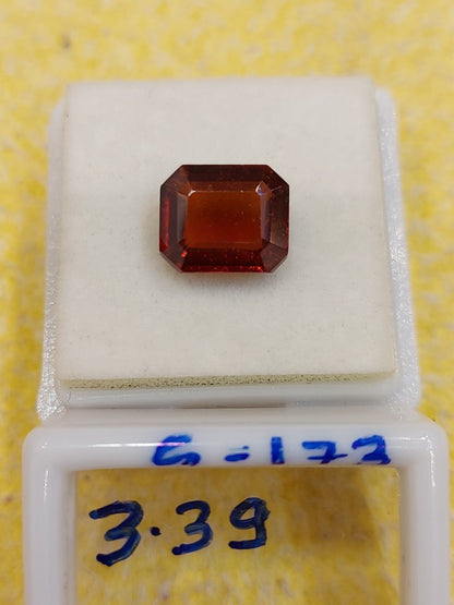 3.39 G-173 Carat Natural Garnet