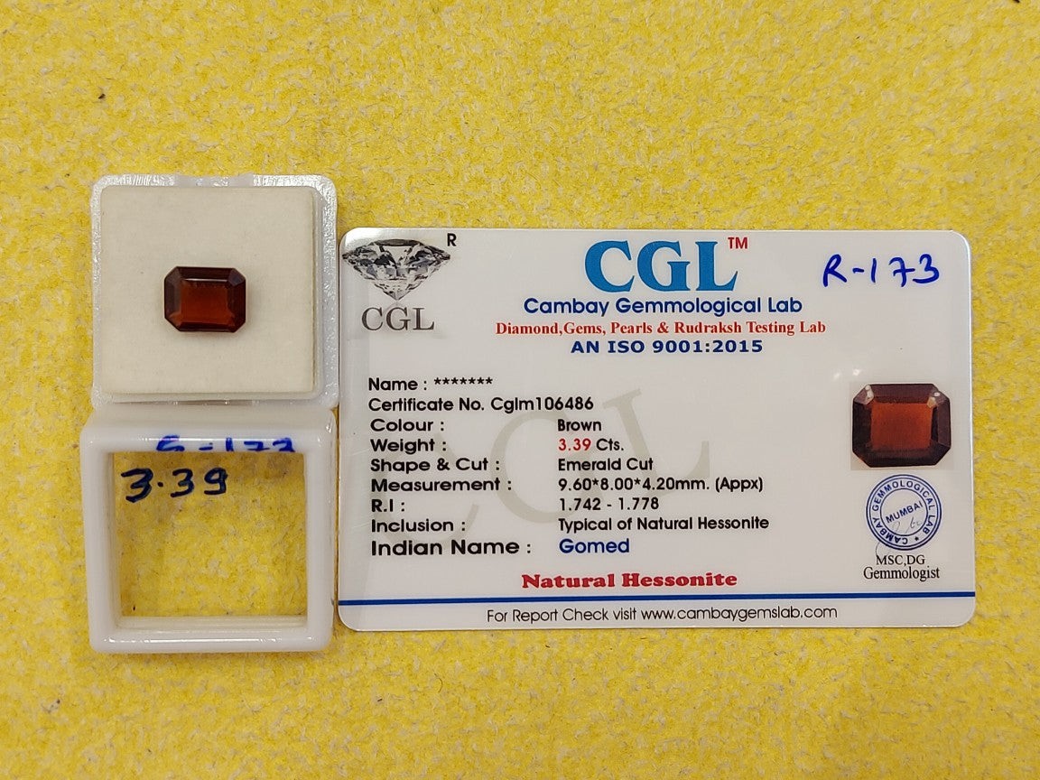 3.39 G-173 Carat Natural Garnet
