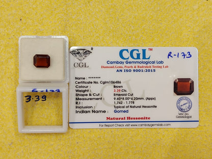 3.39 G-173 Carat Natural Garnet