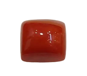 3.44 Carat Natural Coral