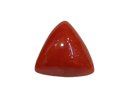 3.49 Carat Natural Coral