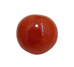 3.77 Carat Natural Coral