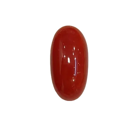 3.78 Carat Natural Coral