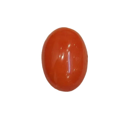 3.86 Carat Natural Japan Coral