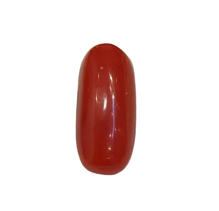 3.88 Carat Natural Coral