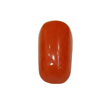 3.90 Carat Natural Coral
