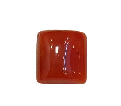 3.90 Carat Natural Coral