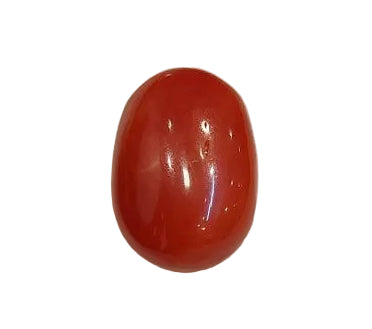 3.91 Carat Natural Coral