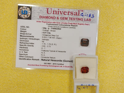 4.01 Carat Natural Garnet