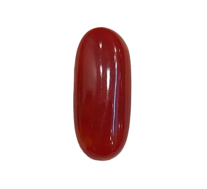 4.04 Carat Natural Coral