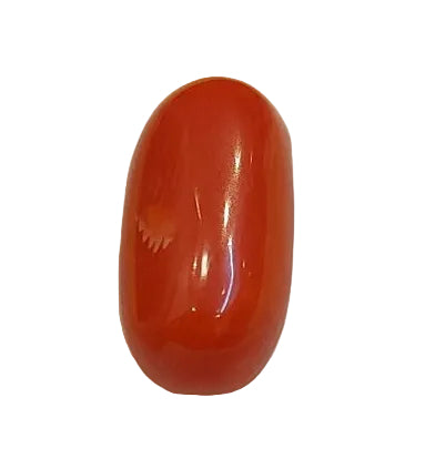4.09 Carat Natural Coral