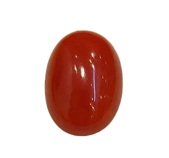 4.10 Carat Natural Coral