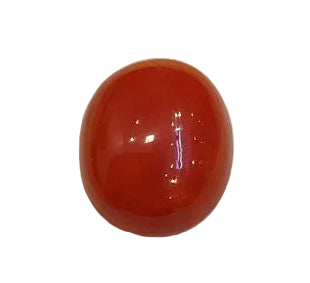 4.10 Carat Natural Coral